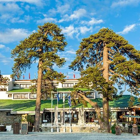 Troodos Hotel & Spa Екстериор снимка