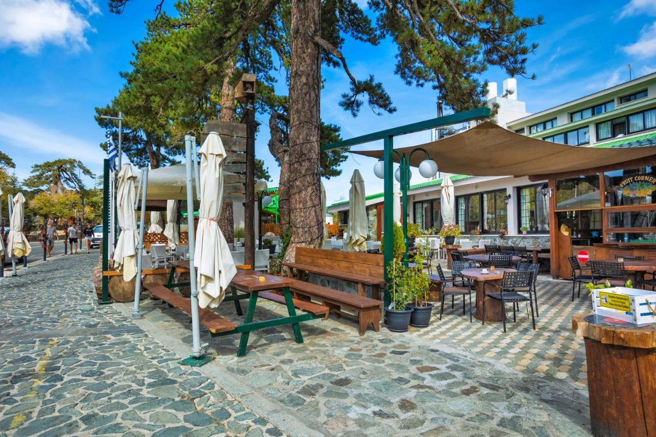 Troodos Hotel & Spa Екстериор снимка