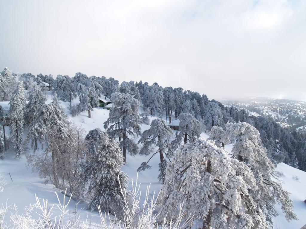 Troodos Hotel & Spa Екстериор снимка